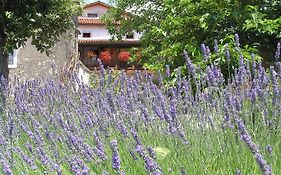Pliskovica Youth Hostel