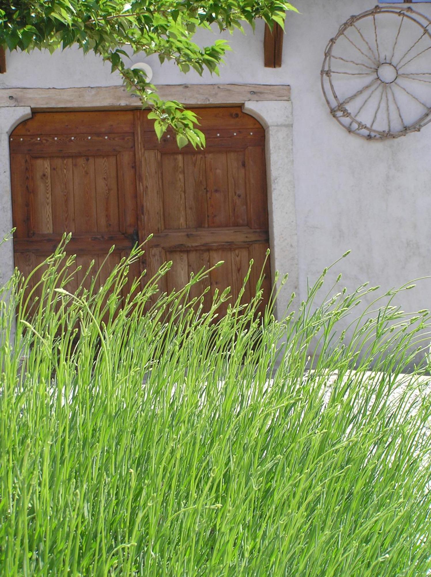 Pliskovica Youth Hostel Esterno foto